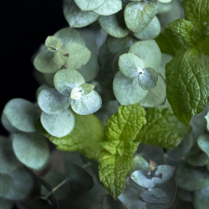 Candle Peppermint Eucalyptus - Image 2